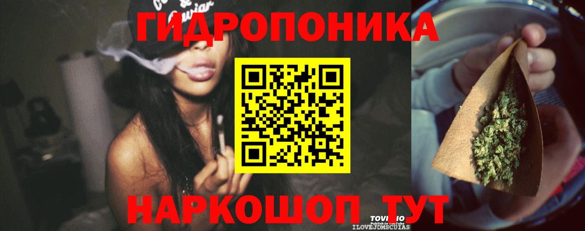 Конопля тримм  Бошки Шишки планчик  Дербент  Канабис индика  Бошки Шишки марихуана  Вход с VPN 
